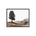 Picture of Tree on a Hill _GroupedProduct_Rectangle_Landscape_Photography _GroupedProduct_Rectangle_Landscape_Canvas_Framed_