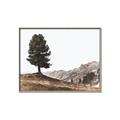 Picture of Tree on a Hill _GroupedProduct_Rectangle_Landscape_Photography _GroupedProduct_Rectangle_Landscape_Canvas_Framed_