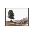 Picture of Tree on a Hill _GroupedProduct_Rectangle_Landscape_Photography _GroupedProduct_Rectangle_Landscape_Canvas_Framed_