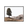 Picture of Tree on a Hill _GroupedProduct_Rectangle_Landscape_Photography _GroupedProduct_Rectangle_Landscape_Canvas_Framed_