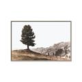 Picture of Tree on a Hill _GroupedProduct_Rectangle_Landscape_Photography _GroupedProduct_Rectangle_Landscape_Canvas_Framed_