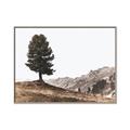 Picture of Tree on a Hill _GroupedProduct_Rectangle_Landscape_Photography _GroupedProduct_Rectangle_Landscape_Canvas_Framed_