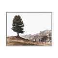 Picture of Tree on a Hill _GroupedProduct_Rectangle_Landscape_Photography _GroupedProduct_Rectangle_Landscape_Canvas_Framed_