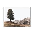 Picture of Tree on a Hill _GroupedProduct_Rectangle_Landscape_Photography _GroupedProduct_Rectangle_Landscape_Canvas_Framed_