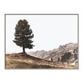 Picture of Tree on a Hill _GroupedProduct_Rectangle_Landscape_Photography _GroupedProduct_Rectangle_Landscape_Canvas_Framed_