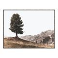 Picture of Tree on a Hill _GroupedProduct_Rectangle_Landscape_Photography _GroupedProduct_Rectangle_Landscape_Canvas_Framed_