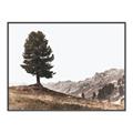 Picture of Tree on a Hill _GroupedProduct_Rectangle_Landscape_Photography _GroupedProduct_Rectangle_Landscape_Canvas_Framed_