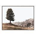 Picture of Tree on a Hill _GroupedProduct_Rectangle_Landscape_Photography _GroupedProduct_Rectangle_Landscape_Canvas_Framed_