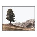 Picture of Tree on a Hill _GroupedProduct_Rectangle_Landscape_Photography _GroupedProduct_Rectangle_Landscape_Canvas_Framed_