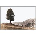 Picture of Tree on a Hill _GroupedProduct_Rectangle_Landscape_Photography _GroupedProduct_Rectangle_Landscape_Canvas_Framed_