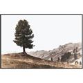 Picture of Tree on a Hill _GroupedProduct_Rectangle_Landscape_Photography _GroupedProduct_Rectangle_Landscape_Canvas_Framed_