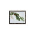 Picture of Spring Dew Leaves _GroupedProduct_Rectangle_Landscape_Photography _GroupedProduct_Rectangle_Landscape_Canvas_Framed_