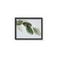 Picture of Spring Dew Leaves _GroupedProduct_Rectangle_Landscape_Photography _GroupedProduct_Rectangle_Landscape_Canvas_Framed_