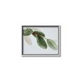 Picture of Spring Dew Leaves _GroupedProduct_Rectangle_Landscape_Photography _GroupedProduct_Rectangle_Landscape_Canvas_Framed_