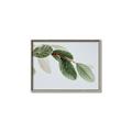 Picture of Spring Dew Leaves _GroupedProduct_Rectangle_Landscape_Photography _GroupedProduct_Rectangle_Landscape_Canvas_Framed_