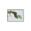 Picture of Spring Dew Leaves _GroupedProduct_Rectangle_Landscape_Photography _GroupedProduct_Rectangle_Landscape_Canvas_Framed_