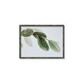Picture of Spring Dew Leaves _GroupedProduct_Rectangle_Landscape_Photography _GroupedProduct_Rectangle_Landscape_Canvas_Framed_