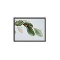 Picture of Spring Dew Leaves _GroupedProduct_Rectangle_Landscape_Photography _GroupedProduct_Rectangle_Landscape_Canvas_Framed_