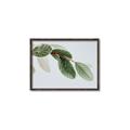 Picture of Spring Dew Leaves _GroupedProduct_Rectangle_Landscape_Photography _GroupedProduct_Rectangle_Landscape_Canvas_Framed_
