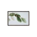 Picture of Spring Dew Leaves _GroupedProduct_Rectangle_Landscape_Photography _GroupedProduct_Rectangle_Landscape_Canvas_Framed_