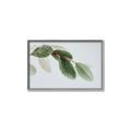 Picture of Spring Dew Leaves _GroupedProduct_Rectangle_Landscape_Photography _GroupedProduct_Rectangle_Landscape_Canvas_Framed_