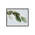 Picture of Spring Dew Leaves _GroupedProduct_Rectangle_Landscape_Photography _GroupedProduct_Rectangle_Landscape_Canvas_Framed_