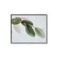 Picture of Spring Dew Leaves _GroupedProduct_Rectangle_Landscape_Photography _GroupedProduct_Rectangle_Landscape_Canvas_Framed_