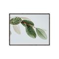 Picture of Spring Dew Leaves _GroupedProduct_Rectangle_Landscape_Photography _GroupedProduct_Rectangle_Landscape_Canvas_Framed_