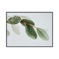 Picture of Spring Dew Leaves _GroupedProduct_Rectangle_Landscape_Photography _GroupedProduct_Rectangle_Landscape_Canvas_Framed_