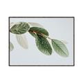Picture of Spring Dew Leaves _GroupedProduct_Rectangle_Landscape_Photography _GroupedProduct_Rectangle_Landscape_Canvas_Framed_