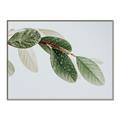 Picture of Spring Dew Leaves _GroupedProduct_Rectangle_Landscape_Photography _GroupedProduct_Rectangle_Landscape_Canvas_Framed_