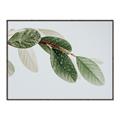 Picture of Spring Dew Leaves _GroupedProduct_Rectangle_Landscape_Photography _GroupedProduct_Rectangle_Landscape_Canvas_Framed_