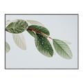 Picture of Spring Dew Leaves _GroupedProduct_Rectangle_Landscape_Photography _GroupedProduct_Rectangle_Landscape_Canvas_Framed_
