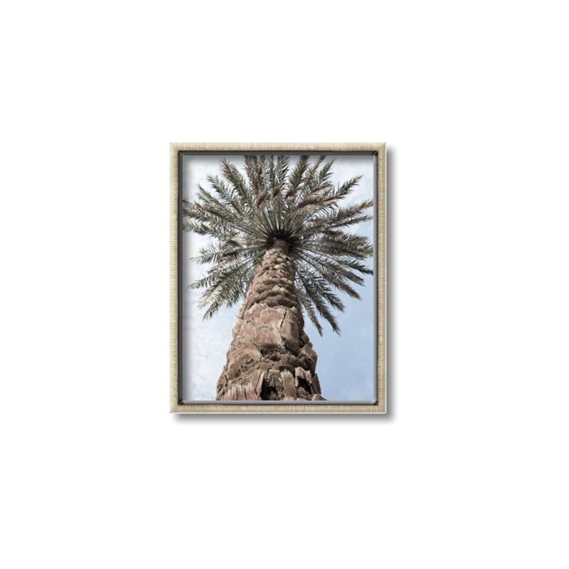 Picture of Palm Perfection _GroupedProduct_Rectangle_Portrait_Photography _GroupedProduct_Rectangle_Portrait_Canvas_Framed_