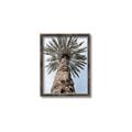 Picture of Palm Perfection _GroupedProduct_Rectangle_Portrait_Photography _GroupedProduct_Rectangle_Portrait_Canvas_Framed_