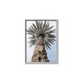 Picture of Palm Perfection _GroupedProduct_Rectangle_Portrait_Photography _GroupedProduct_Rectangle_Portrait_Canvas_Framed_
