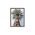 Picture of Palm Perfection _GroupedProduct_Rectangle_Portrait_Photography _GroupedProduct_Rectangle_Portrait_Canvas_Framed_