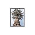 Picture of Palm Perfection _GroupedProduct_Rectangle_Portrait_Photography _GroupedProduct_Rectangle_Portrait_Canvas_Framed_