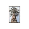 Picture of Palm Perfection _GroupedProduct_Rectangle_Portrait_Photography _GroupedProduct_Rectangle_Portrait_Canvas_Framed_