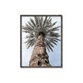 Picture of Palm Perfection _GroupedProduct_Rectangle_Portrait_Photography _GroupedProduct_Rectangle_Portrait_Canvas_Framed_
