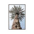 Picture of Palm Perfection _GroupedProduct_Rectangle_Portrait_Photography _GroupedProduct_Rectangle_Portrait_Canvas_Framed_