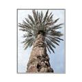 Picture of Palm Perfection _GroupedProduct_Rectangle_Portrait_Photography _GroupedProduct_Rectangle_Portrait_Canvas_Framed_