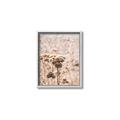 Picture of Macro Dried Florals _GroupedProduct_Rectangle_Portrait_Photography _GroupedProduct_Rectangle_Portrait_Canvas_Framed_