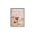Picture of Macro Dried Florals _GroupedProduct_Rectangle_Portrait_Photography _GroupedProduct_Rectangle_Portrait_Canvas_Framed_