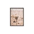 Picture of Macro Dried Florals _GroupedProduct_Rectangle_Portrait_Photography _GroupedProduct_Rectangle_Portrait_Canvas_Framed_