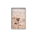 Picture of Macro Dried Florals _GroupedProduct_Rectangle_Portrait_Photography _GroupedProduct_Rectangle_Portrait_Canvas_Framed_