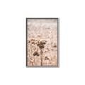 Picture of Macro Dried Florals _GroupedProduct_Rectangle_Portrait_Photography _GroupedProduct_Rectangle_Portrait_Canvas_Framed_