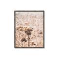 Picture of Macro Dried Florals _GroupedProduct_Rectangle_Portrait_Photography _GroupedProduct_Rectangle_Portrait_Canvas_Framed_