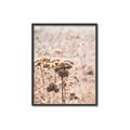 Picture of Macro Dried Florals _GroupedProduct_Rectangle_Portrait_Photography _GroupedProduct_Rectangle_Portrait_Canvas_Framed_
