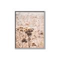 Picture of Macro Dried Florals _GroupedProduct_Rectangle_Portrait_Photography _GroupedProduct_Rectangle_Portrait_Canvas_Framed_